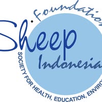 Sheep Indonesia
